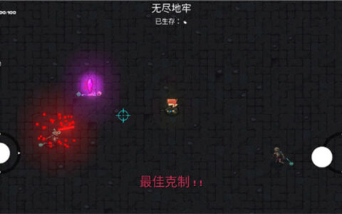 像素地牢枪火狂潮手机版珠海苏州app开发