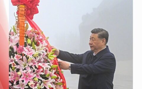 时政微观察丨前事不忘，后事之师